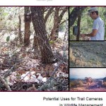 "Potential Uses for Trail Cameras in Wildlife Management" explains how cameras are useful.