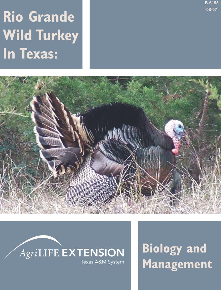 Publication describing Rio Grande Wild Turkey biology and habitat requirements.