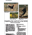 Integrating deer, quail and turkey habitat
