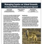 Managing Coyotes on School Grounds