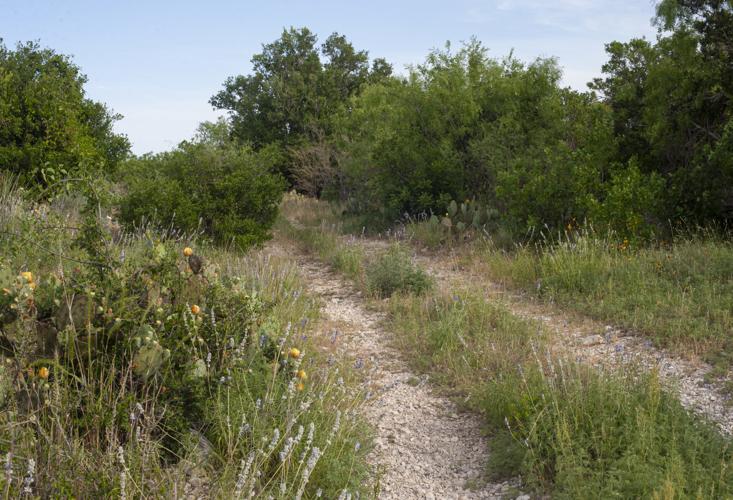 Tour Locations - AgriLife Extension Wildlife & Fisheries