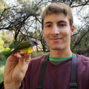 David Tønnessen: A Passionate Ornithologist and Birding Expert

